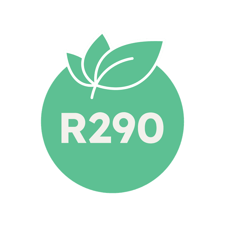 Heative R290 icon